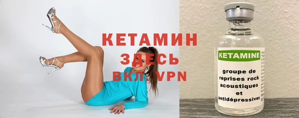 соль ск Новозыбков