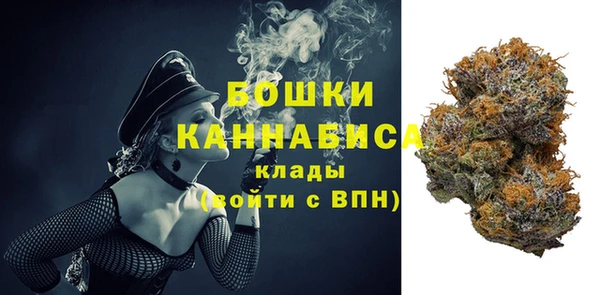 соль ск Новозыбков